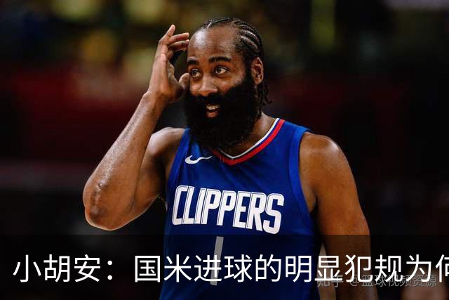 小胡安：国米进球的明显犯规为何被裁判忽视？